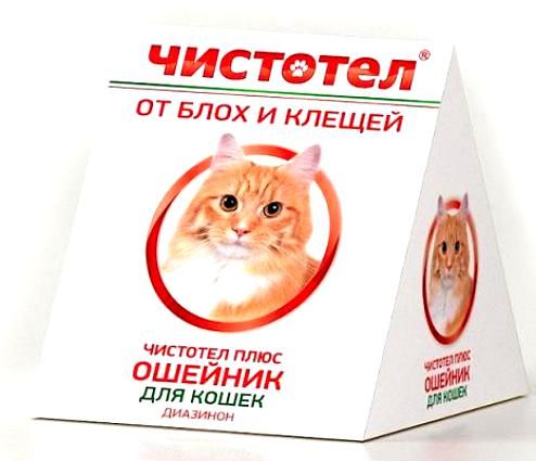 Интернет Магазин Для Кошек Тула