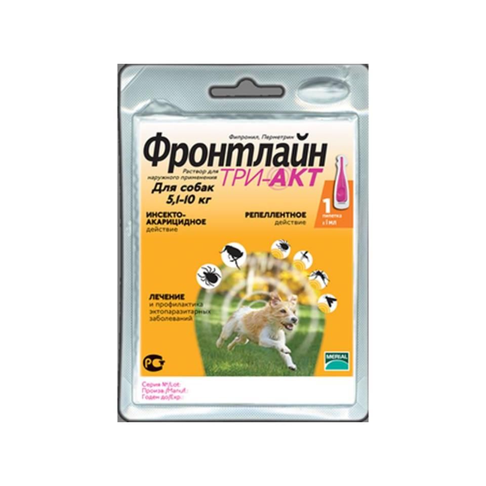 Наши Лапы Интернет Магазин Рязань