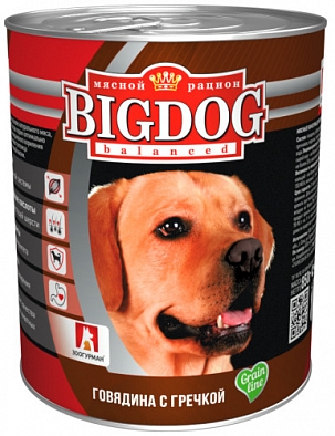 Консервы Зоогурман BIG DOG для собак, говядина с гречкой